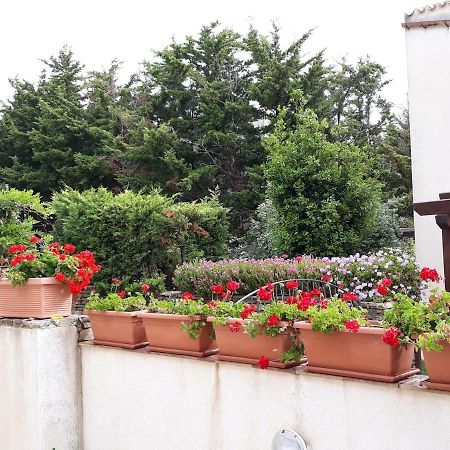 شقة Villino Messina سان فيتو لو كابو المظهر الخارجي الصورة